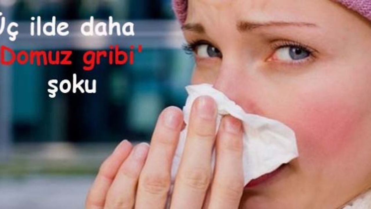 Üç ilde daha 'Domuz gribi' şoku