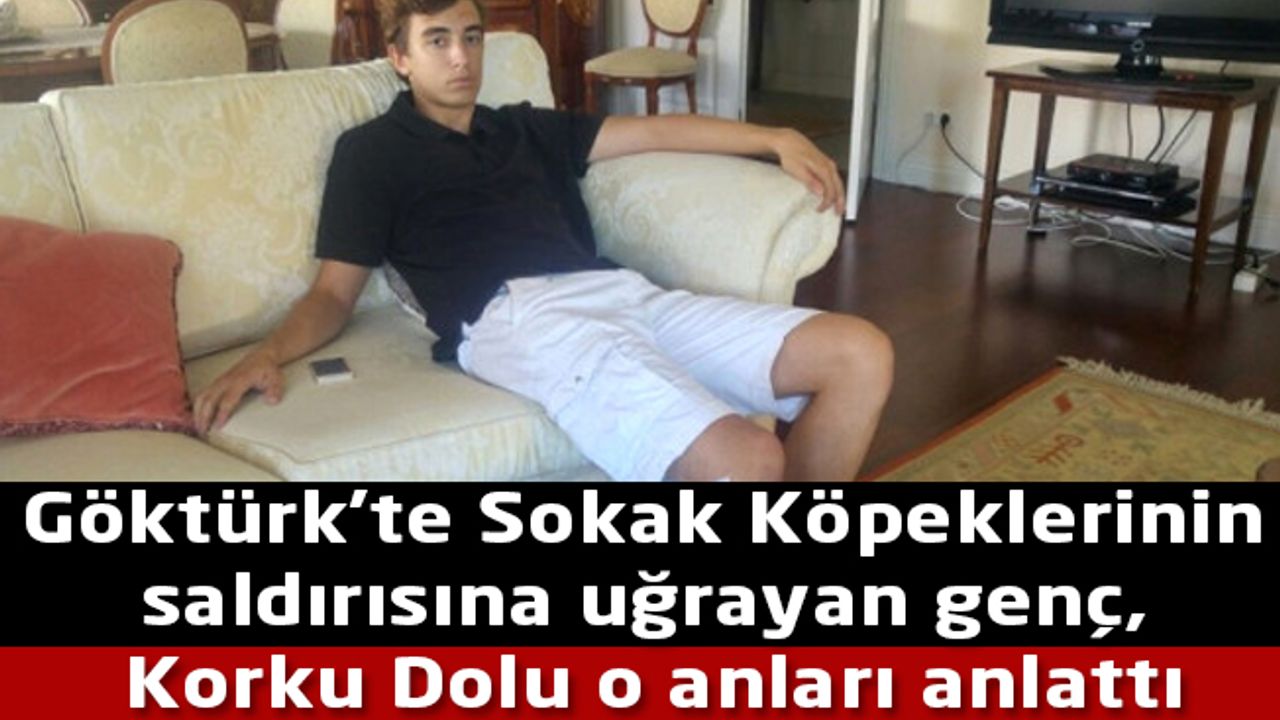 Göktürk'te Sokak Köpeği saldırısına uğrayan genç, korku dolu o anları anlattı