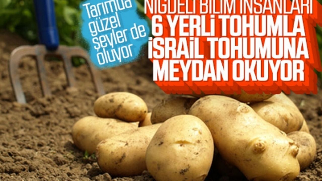 Yozgat'ta 6 çeşit yerli patates hasadı