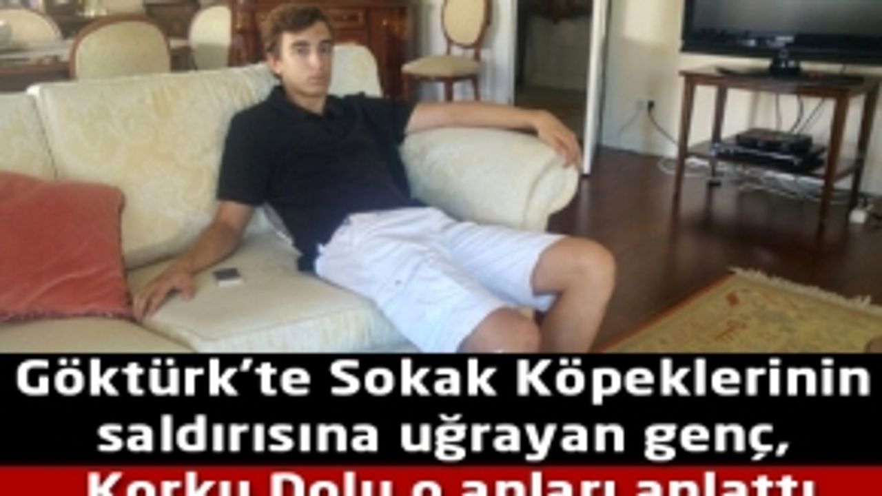 Göktürk te sokak köpeklerinin saldırısına uğrayan genc feci şekilde yaralandı