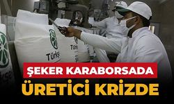 Şeker karaborsada üretici krizde
