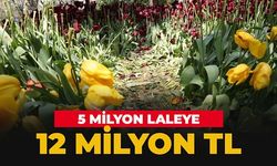 5 milyon laleye 12 milyon TL