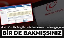 Bir de bakmışsınız bir şirkete ortaksınız!