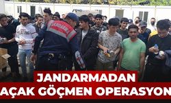 Jandarmadan Kaçak Göçmen Operasyonu