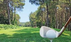 Göktürk'te ki Golf sahalarını imara açtılar, 1250 ağacı kesip golf saha yapacaklar
