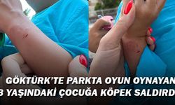 Göktürk'te Parkta oyun oynayan 3 yaşındaki çocuğa köpek saldırdı