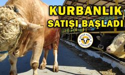 Sütçü Yusuf Çiftliği'nde Kurbanlık Hayvan Satışı başladı