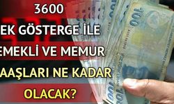 3600 ek gösterge, öğrenci affı, varlık maaşı ve emekli maaşlarıyla ilgili düzenleme TBMM'de kabul edildi