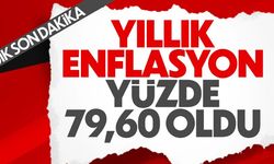 TÜİK, temmuz ayı enflasyonunu açıkladı yüzde 79,60