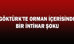 Göktürk'te Orman içerisinde bir intihar şoku