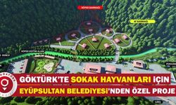 Eyüpsultan Beledyesi'nden Göktürk'te Sokak Hayvanları için Özel Proje