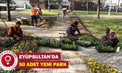 Eyüpsultan'da 50 yeni park