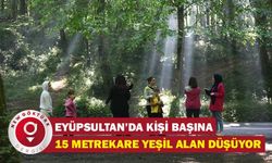 Eyüpsultan’da kişi başına 15 metrekare yeşil alan düşüyor