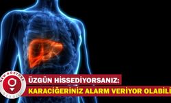 Üzgün hissediyorsanız karaciğeriniz alarm veriyor olabilir: İşte duygular ve ilişkili olduğu organlar