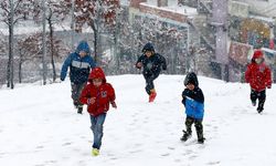 Van Bahçesaray'da okullara 1 günlük kar tatili