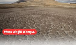 Konya'daki May Barajı'nda acı manzara... Tamamen kurudu