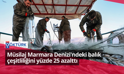 Müsilaj Marmara Denizi'ndeki balık çeşitliliğini yüzde 25 azalttı