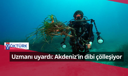 Uzmanı uyardı: Akdeniz'in dibi çölleşiyor