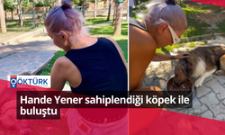 Hande Yener sahiplendiği köpek ile buluştu