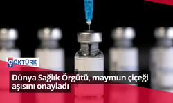 Dünya Sağlık Örgütü, maymun çiçeği aşısını onayladı