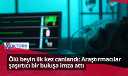 Ölü beyin ilk kez canlandı: Araştırmacılar şaşırtıcı bir buluşa imza attı