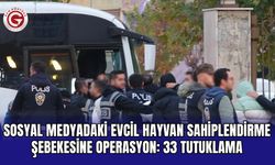 Sosyal medyadaki evcil hayvan sahiplendirme şebekesine operasyon: 33 tutuklama