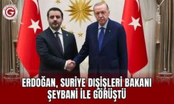 Erdoğan, Suriye Dışişleri Bakanı Şeybani ile Görüştü