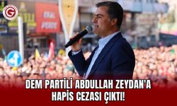 DEM Partili Abdullah Zeydan'a hapis cezası çıktı!