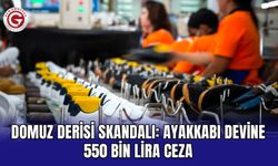 Domuz derisi skandalı: Ayakkabı devine 550 bin lira ceza