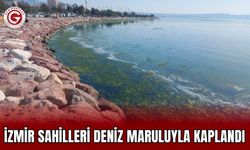 İzmir sahilleri deniz maruluyla kaplandı