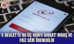 e-Devlet'te Bu Üç Harfe Dikkat! Maaş ve Faiz Geri Ödenebilir