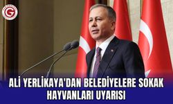 Ali Yerlikaya'dan belediyelere sokak hayvanları uyarısı