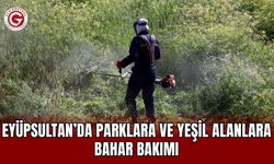 Eyüpsultan’da parklara ve yeşil alanlara bahar bakımı