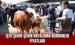İşte Şehir Şehir Ortalama Kurbanlık Fiyatları