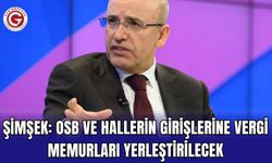 Şimşek: OSB ve Hallerin Girişlerine Vergi Memurları Yerleştirilecek