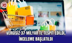 Vergisiz 37 milyar TL tespit edildi, inceleme başlatıldı