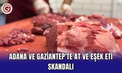 Adana ve Gaziantep'te at ve eşek eti skandalı