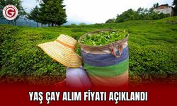 Yaş çay alım fiyatı açıklandı