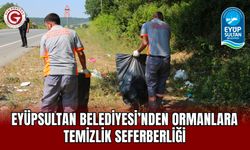 Eyüpsultan Belediyesi’nden ormanlara temizlik seferberliği