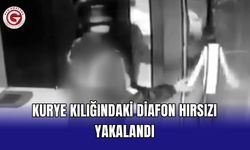 Kurye Kılığındaki Diafon Hırsızı Yakalandı