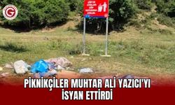 Piknikçiler Muhtar Ali Yazıcı'yı isyan ettirdi
