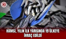 Hamsi, yılın ilk yarısında 19 ülkeye ihraç edildi