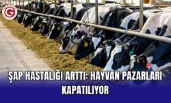 Şap hastalığı arttı: Hayvan pazarları kapatılıyor