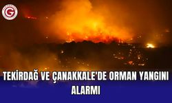 Tekirdağ ve Çanakkale'de orman yangını alarmı