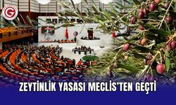 Zeytinlik yasası Meclis’ten geçti
