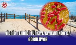Vibrio tehdidi Türkiye kıyılarında da görülüyor