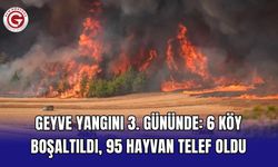 Geyve yangını 3. gününde: 6 köy boşaltıldı, 95 hayvan telef oldu