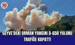 Geyve'deki orman yangını D-650 yolunu trafiğe kapattı