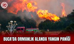 Buca'da ormanlık alanda yangın paniği