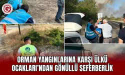 Ülkü Ocakları'ndan Orman Yangınlarına Karşı Seferberlik Çağrısı